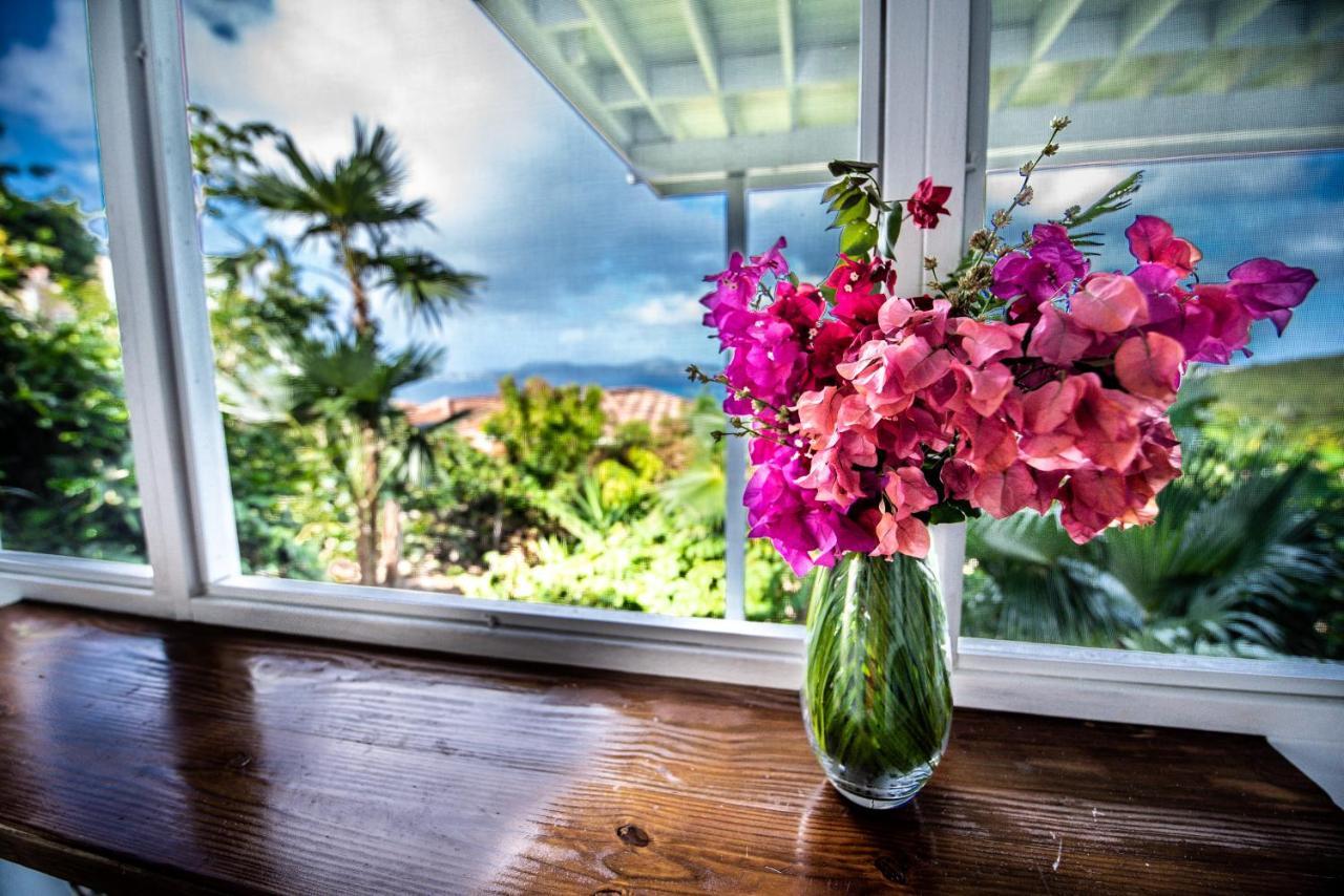 Papaya Suite at Sunset Serenade Cruz Bay Bagian luar foto
